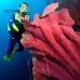 sponge_red_res_v_0705_png0023.jpg
